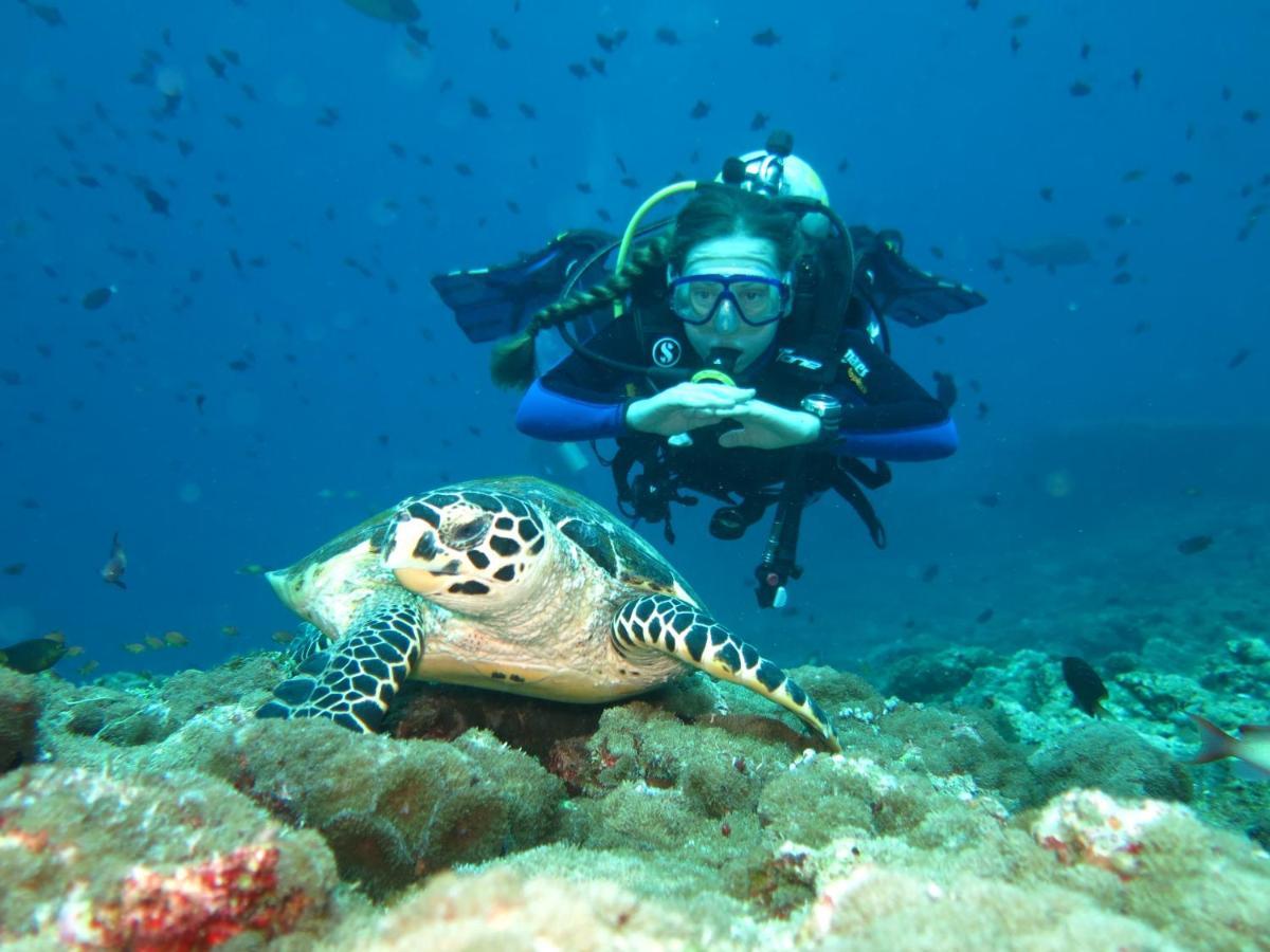 Vaali Maldives Island Escapes & Dive Hotel Felidhoo Exterior photo