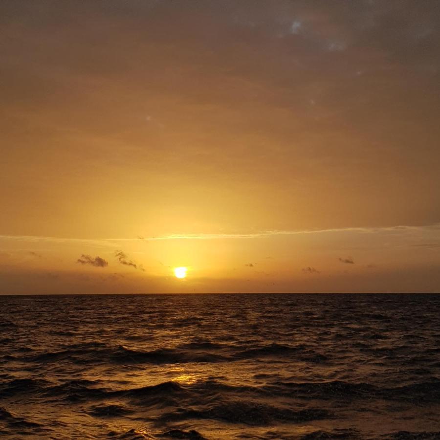 Vaali Maldives Island Escapes & Dive Hotel Felidhoo Exterior photo