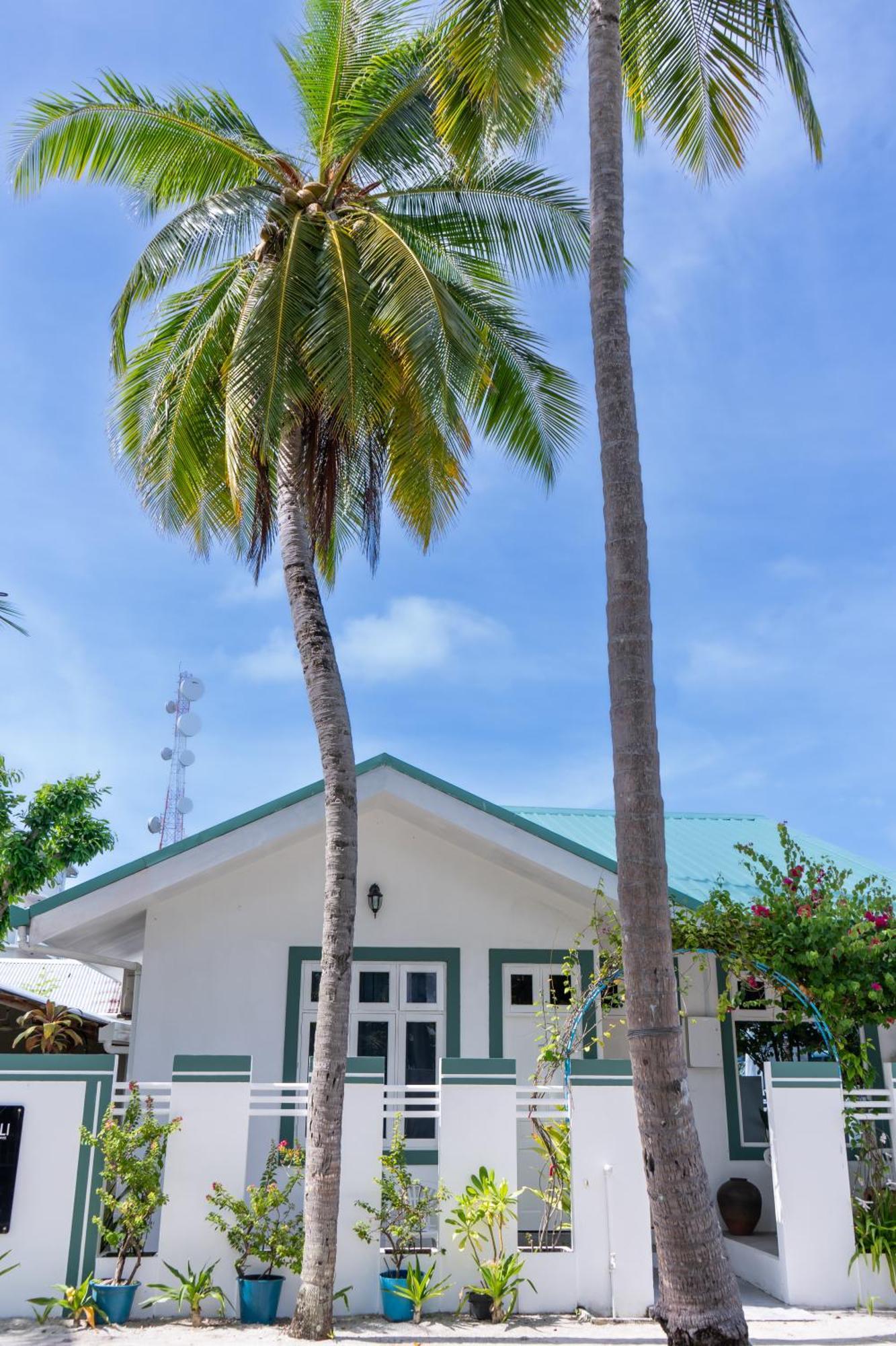 Vaali Maldives Island Escapes & Dive Hotel Felidhoo Exterior photo